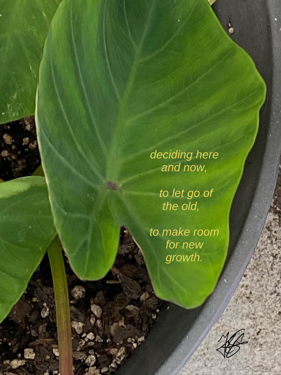 Mini Art Print: Growth