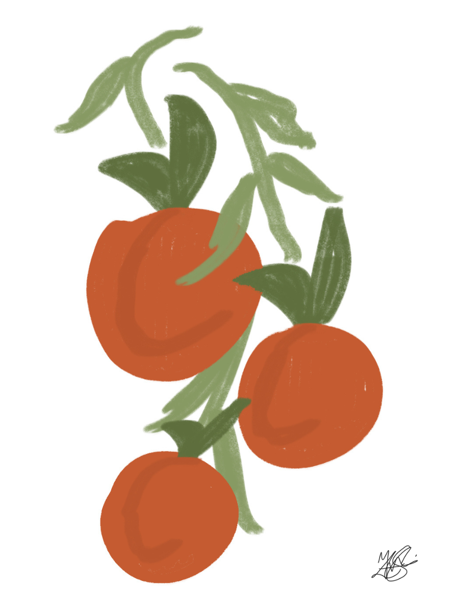 Mini Art Print: Tomatoes